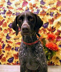 Greta Thanks 10.jpg